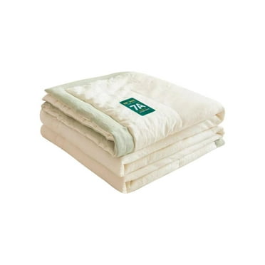 BIZHUA Solid Color Quilt Lightweight Comforter Summer Quilt Soft Bedspread for King Queen Twin Full Size Bed Washable Quilts Quilted Blanket for All Season, 1*Quilt