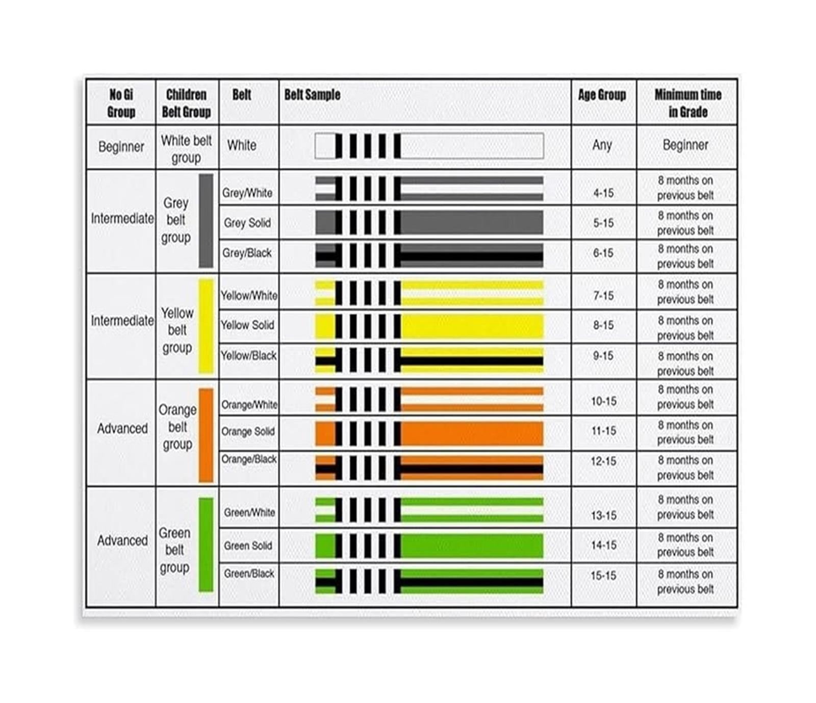 BJJ Belt Rank Chart Poster Martial Arts Gym Dojo Decor - Walmart.com