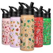BJPKPK Insulated Water Bottle with Straw Lid, 18 oz Stainless Steel Metal Water Bottles, Reusable Leak Proof BPA Free Water Bottles, Cups, Thermos, Spring Party