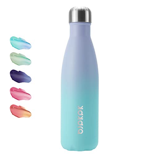 BJPKPK Insulated Water Bottles 17oz/500ml Stainless Steel Water