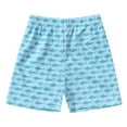 thumbnail image 1 of BJUTIR Boys Swim Trunks Swimming Beach Suit Shorts Cartoon Baby Swim Toddler Bathing Swimwear Lightweight Swimming Suit Size 2-3 Years, 1 of 6