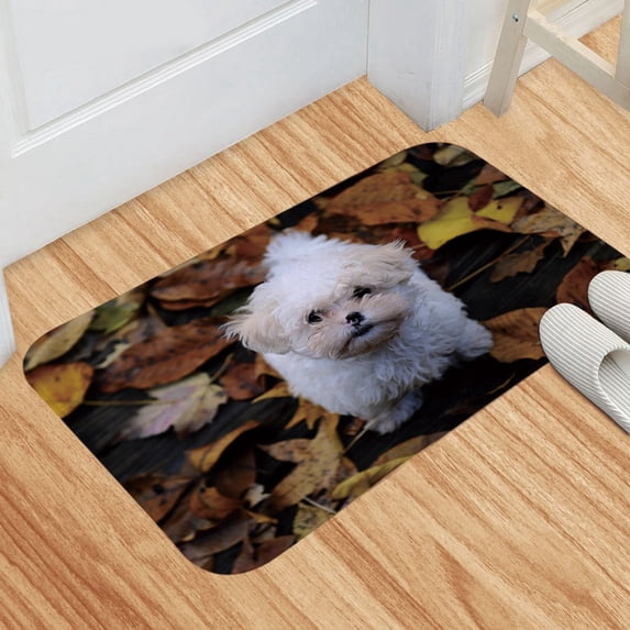 Doormat In Home Dog Fun Door Mat Welcome Entrance Anti Slip Indoor Rubber Door Mat For Front Door/Bathroom/Garden/Kitchen