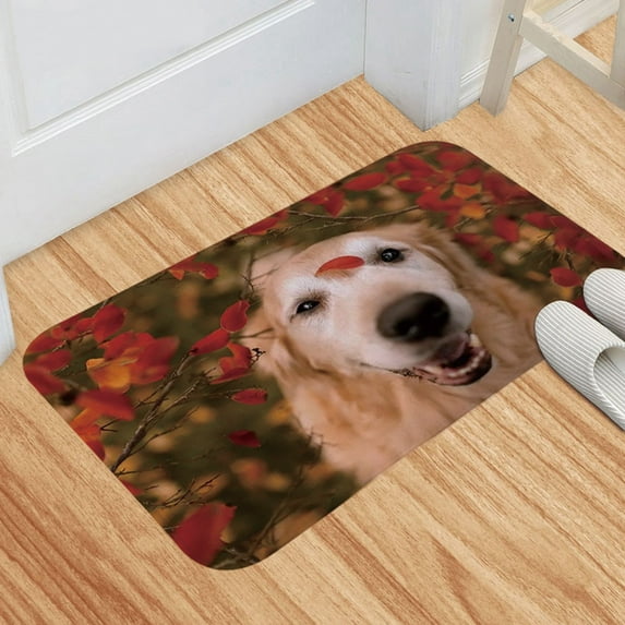 BJUTIR Door Mat Fun Door Dog Mat Welcome Entrance Anti Indoor Rubber Door Mat For Front Door/Bathroom/Garden/Kitchen