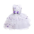 thumbnail image 1 of BJUTIR Girls Dresses 2-10Y Kid Children Girl Sleeveless Floral Embroidered Tulle Ball Gown Princess Prom Dress Outfits Clothes, 1 of 9