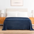 thumbnail image 1 of Berkshire Life Cozy Luxe Plush Bed Blanket Historical Blue, 1 of 9