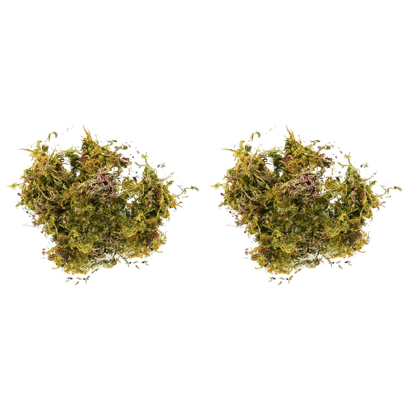 BKBP Artificial Fake Moss for Fake Plants Indoor Premium Faux Craft