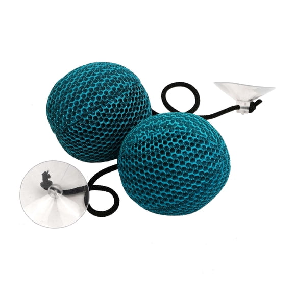 Bluescape Teal Pool and Spa Scum Sponge 2 Pack, Absorbent Foam Cleaning Tool