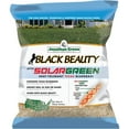 thumbnail image 1 of Black Beauty Solargreen Seed Mix - Heat Tolerant, Shade Grass - 3 lb Bag, 1 of 1