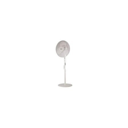 Black+Decker - 16" Stand Fan - White