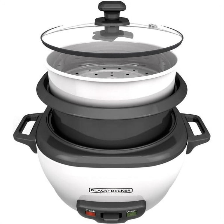 Frigidaire 3 cup 220 volts small personal rice cooker FD9006 0.6 liter  Stainless Steel Rice Cooker with Steamer 220v 240 volts 50 hz