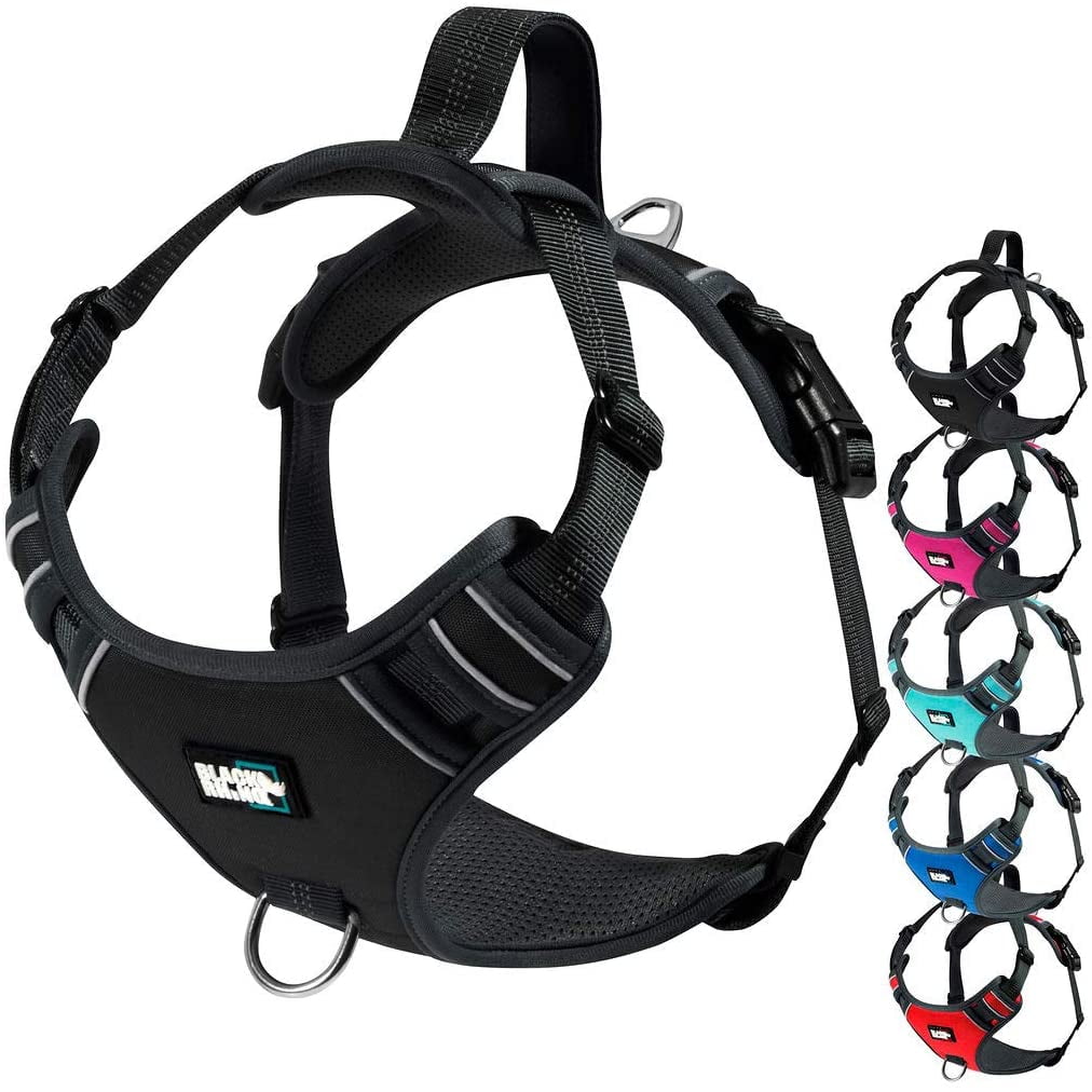 BLACK RHINO Comfort Dog Harness Reflective (Large, Black/Bl)