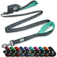 thumbnail image 1 of BLACK RHINO Heavy Duty Dog Leash Double Handle Reflective (6 Feet, Aqua), 1 of 3