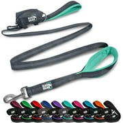 BLACK RHINO Heavy Duty Dog Leash Double Handle Reflective (6 Feet, Aqua)