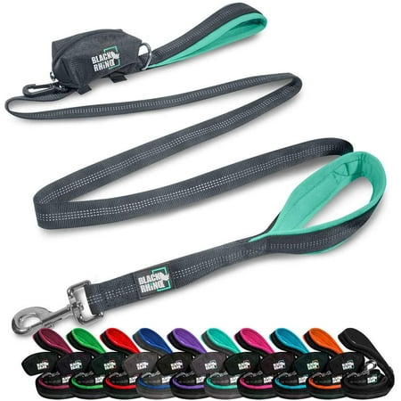 BLACK RHINO Heavy Duty Dog Leash Double Handle Reflective (6 Feet, Aqua)