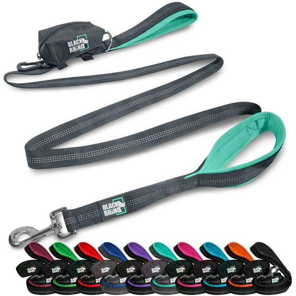 BLACK RHINO Heavy Duty Dog Leash Double Handle Reflective (6 Feet, Aqua)