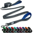 thumbnail image 1 of BLACK RHINO Heavy Duty Dog Leash Double Handle Reflective (6 Feet, Blue), 1 of 3