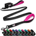 thumbnail image 1 of BLACK RHINO Heavy Duty Dog Leash Double Handle Reflective (6 Feet, Pink), 1 of 3