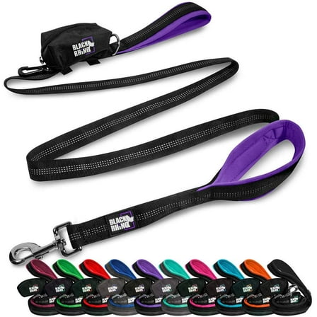 BLACK RHINO Heavy Duty Dog Leash Double Handle Reflective (6 Feet, Purple)