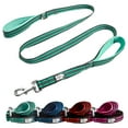 thumbnail image 1 of BLACK RHINO Striped Dog Leash Double Handle Reflective (5 Ft, Aqua/Gr), 1 of 3