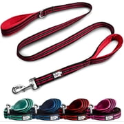 BLACK RHINO Striped Dog Leash Double Handle Reflective (5 Ft, Red/Bl)