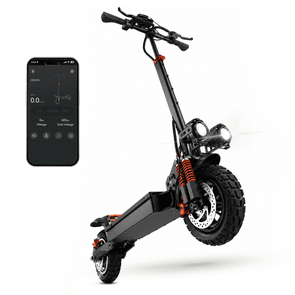 BLAZEGO X1 Off Road Electric Scooter, 1000W Motor, 28 MPH, 48V 15.6Ah, 31 Miles Range, 11" Tires, Folding E Scooter with Dual Suspension & LCD Display, UL2272 Certified