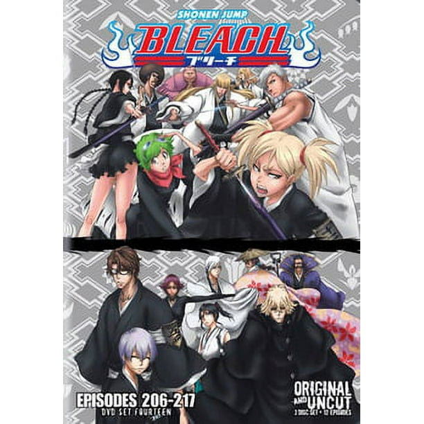 BLEACH BOX SET 14 (DVD/UNCUT/3 DISC/VIVA) (DVD)