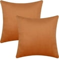 BLEUM CADE 2 Pack Throw Pillow Covers 18 x 18 inch,Orange Decorative