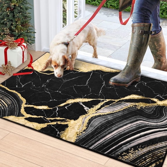 Bleum Cade Area Rugs for Doormat 2X3,Marble Swirl Abstract Rugs, Machine Washable Foldable Non Slip Outdoor Indoor Welcome Mat,Black Gold
