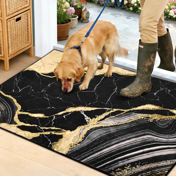 Bleum Cade Area Rugs for Doormat 2X3,Marble Swirl Abstract Rugs, Machine Washable Foldable Non Slip Outdoor Indoor Welcome Mat,Black Gold