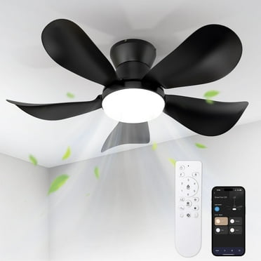 BLITZWILL Ceiling Fans with Lights and Remote & App Control,26 inch Low Profile Modern Ceiling Fans with 5 Reversible Blades,3 Colors Dimmable 6 Speeds Quiet, for Bedroom Kitchen Garage,Black