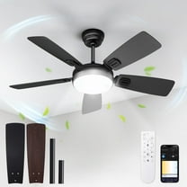 BLITZWILL Ceiling Fans with Lights and Remote & App Control, 42" Modern Ceiling Fan with 5 Dual-sided Blades, 6-Speeds Noiseless Reversible DC Motor for Farmhouse Bedroom Indoor, Black