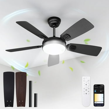 BLITZWILL Ceiling Fans with Lights and Remote & App Control, 42" Modern Ceiling Fan with 5 Dual-sided Blades, 6-Speeds Noiseless Reversible DC Motor for Farmhouse Bedroom Indoor, Black