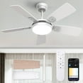 thumbnail image 1 of BLITZWILL Ceiling Fans with Lights and Remote & App Control, 52" Modern Ceiling Fan with 5 Dual-sided Blades, 6-Speeds Noiseless Reversible DC Motor for Farmhouse Bedroom Indoor, White, 1 of 10