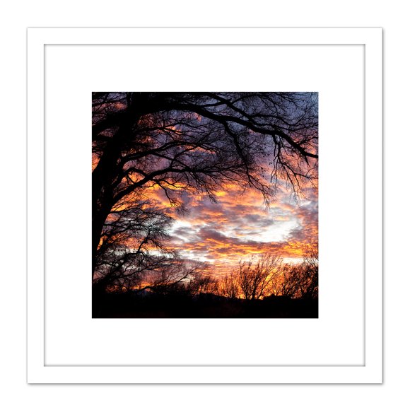 BLM Wick Sunset Silhouette Trees San Pedro Arizona 8X8 Inch Square Wooden Framed Wall Art Print Picture with Mount