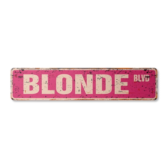 BLONDE BLVD Vintage Plastic Street Sign hair blondie stupid funny blondes | Indoor/Outdoor | 18" Wide