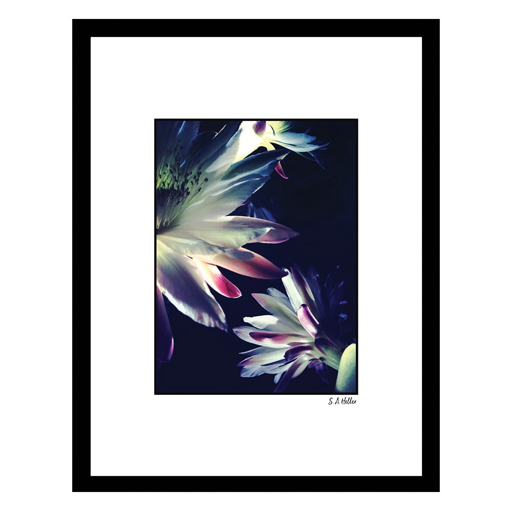 BLOSSOMS TOUCH Framed Printed Photograph