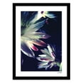 thumbnail image 1 of BLOSSOMS TOUCH Framed Printed Photograph, 1 of 1