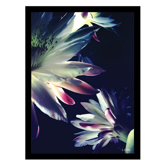 BLOSSOMS TOUCH Framed Printed Photograph