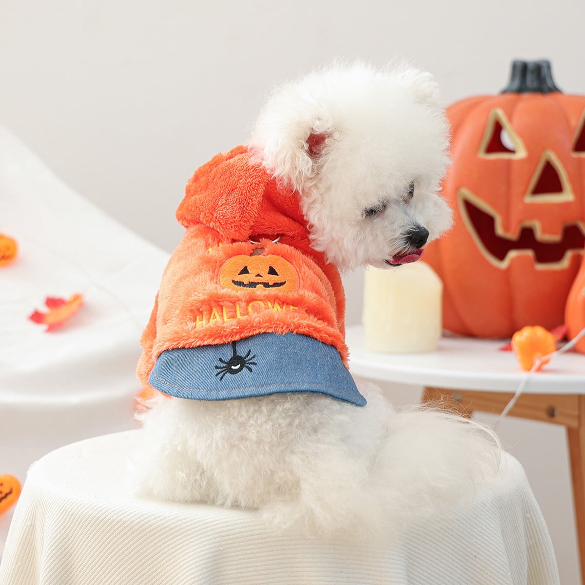 BLRTUN Halloween Dog Dress Costumes for Small Dogs Girl Tulle Dress Dog Clothes Skull Holiday Pet Costume Cat Outfits