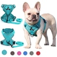 thumbnail image 1 of BLRTUN Pet Dog Harness for Small Medium Dogs No Pull Puppy Cats Vest Harness Adjustable Reflective Breathable Mesh Lightweight Harnesses Leash Set Escape Proof for Walking Training, 1 of 9
