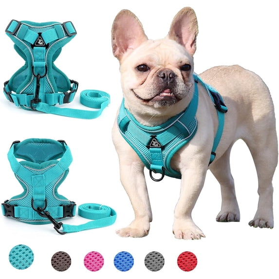 BLRTUN Pet Dog Harness for Small Medium Dogs No Pull Puppy Cats Vest Harness Adjustable Reflective Breathable Mesh Lightweight Harnesses Leash Set Escape Proof for Walking Training