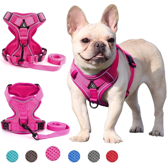 BLRTUN Pet Dog Harness for Small Medium Dogs No Pull Puppy Cats Vest Harness Adjustable Reflective Breathable Mesh Lightweight Harnesses Leash Set Escape Proof for Walking Training
