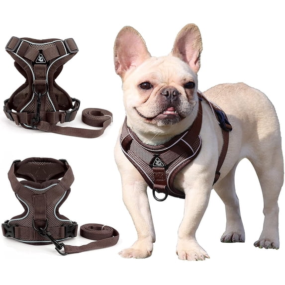 BLRTUN Pet Dog Harness for Small Medium Dogs No Pull Puppy Cats Vest Harness Adjustable Reflective Breathable Mesh Lightweight Harnesses Leash Set Escape Proof for Walking Training