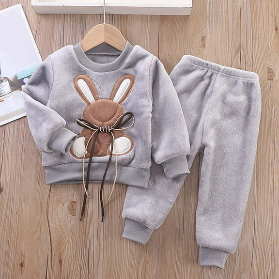 BLTIBY 12 Months-6 Years Toddler Baby Boys Girls Clothes Printed Fleece Long Sleeve Round Neck Sweatshirts Tops Casual Pants Sets 2Pcs Autumn Winter Outfits Gray12-24 Months