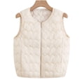 thumbnail image 1 of BLTIBY Cropped Puffer Vest for Women Winter Plus Size Quilted Sleeveless Round Neck Warm Jackets Zip Up Thicked Puffy Coat Fashion Outerwear White 3XL, 1 of 9