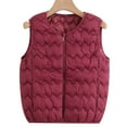 thumbnail image 1 of BLTIBY Cropped Puffer Vest for Women Winter Plus Size Quilted Sleeveless Round Neck Warm Jackets Zip Up Thicked Puffy Coat Fashion Outerwear Wine 3XL, 1 of 3