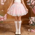 thumbnail image 1 of BLTIBY Girls Layered A-Line Tutu Skirts Versatile Puffy Tulle Skirt Cute Star Ballet Dance Skorts Pink 2 3-4 Years, 1 of 9
