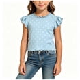 thumbnail image 1 of BLTIBY Girls Ruffle Sleeve Tops Crew Neck Printed T-Shirts Summer Comfy Tee Shirts Basic Tshirts for Kids Sky Blue 1-2 Years, 1 of 6