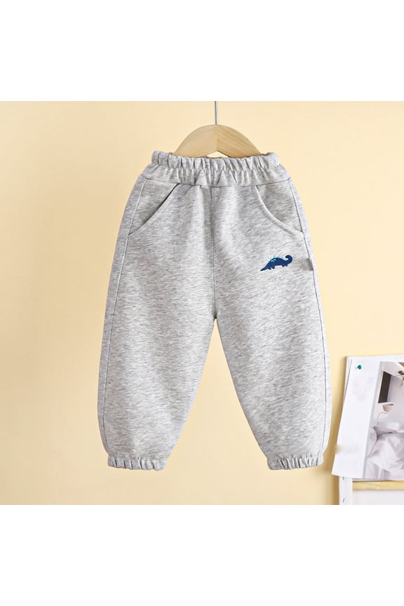 Toddler Boys Girls Cotton Sweatpant Jogger Pants Cartoon Dinosaur Active Sports Trousers for Kids with Pockets Gray 3-4Years