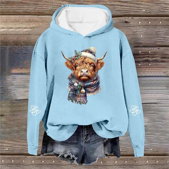 BLTIBY Valentine's Day Sweatshirts Hoodies for Women Love Heart Graphic Crewneck Long Sleeve Tops Fashion Casual Pullover Blouse Light Blue 2 L